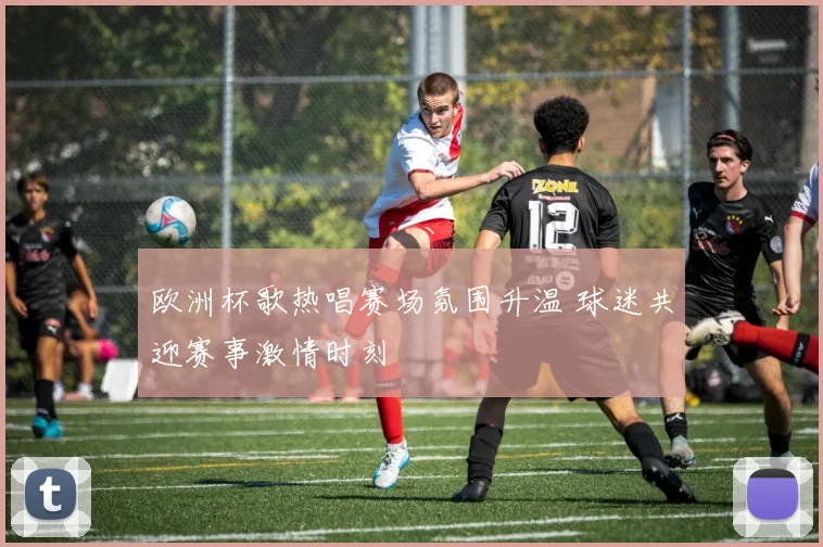 欧洲杯歌热唱赛场氛围升温 球迷共迎赛事激情时刻